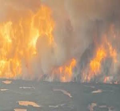 كارثة مدوية في كندا .... حرائق الغابات تصل الي 13 مليون فدان